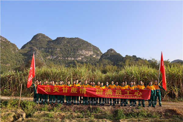 邊關(guān)甘蔗情，“甜”滿員工心—崇左紅獅助海外員工家屬收甘蔗